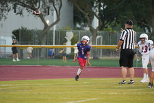 Enlarge photo 1309
