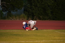 Enlarge photo 1522