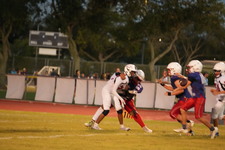 Enlarge photo 1563