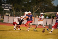 Enlarge photo 1567