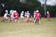 Enlarge photo 8