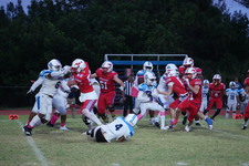 Enlarge photo 19