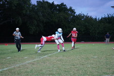Enlarge photo 27