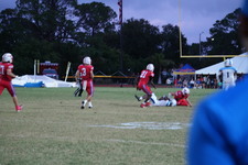 Enlarge photo 31