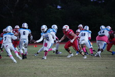 Enlarge photo 32