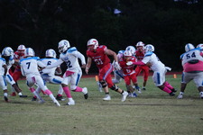 Enlarge photo 35