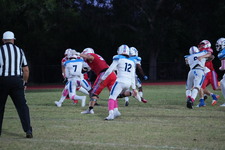 Enlarge photo 36
