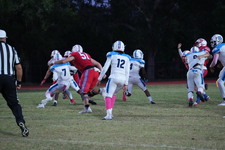 Enlarge photo 37