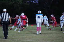 Enlarge photo 39