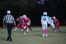 Enlarge photo 40