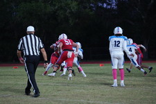 Enlarge photo 41