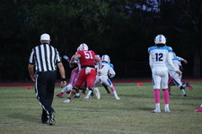 Enlarge photo 42
