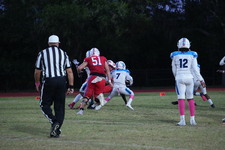 Enlarge photo 43