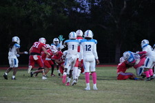 Enlarge photo 47