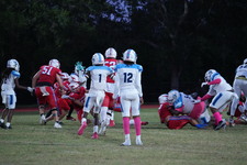 Enlarge photo 46