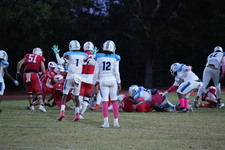 Enlarge photo 48