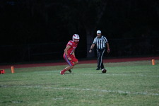 Enlarge photo 86