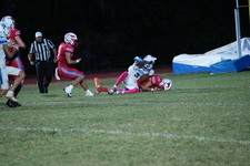 Enlarge photo 91