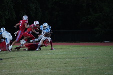 Enlarge photo 103