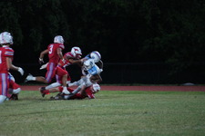 Enlarge photo 102
