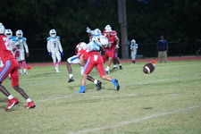 Enlarge photo 117