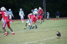 Enlarge photo 116