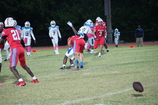 Enlarge photo 118