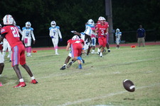 Enlarge photo 119
