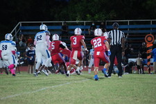Enlarge photo 126