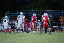 Enlarge photo 127