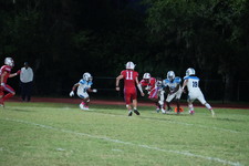 Enlarge photo 130