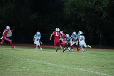 Enlarge photo 131
