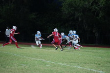 Enlarge photo 132