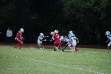 Enlarge photo 133