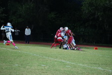 Enlarge photo 136