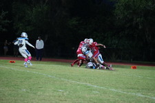 Enlarge photo 137