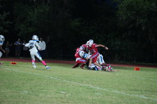 Enlarge photo 138