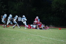 Enlarge photo 142