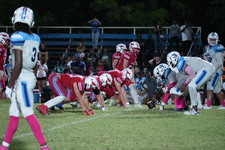 Enlarge photo 231