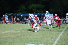 Enlarge photo 236