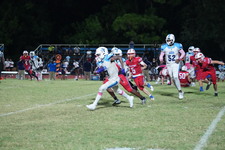 Enlarge photo 237
