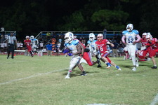 Enlarge photo 239