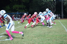 Enlarge photo 248