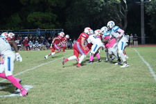 Enlarge photo 249