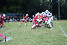 Enlarge photo 250