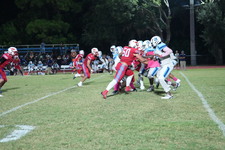Enlarge photo 251