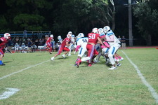 Enlarge photo 252