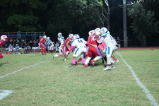 Enlarge photo 254