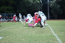 Enlarge photo 253
