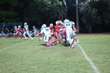 Enlarge photo 255